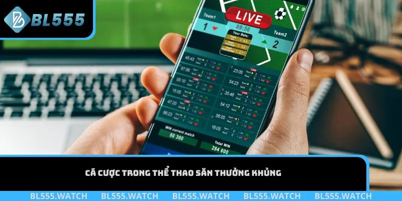 Cá cược trong thể thao săn thưởng khủng