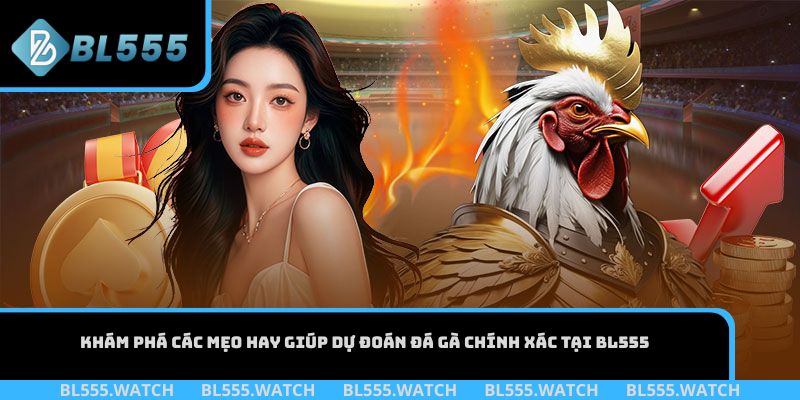 Khám phá các mẹo hay giúp dự đoán đá gà chính xác tại BL555