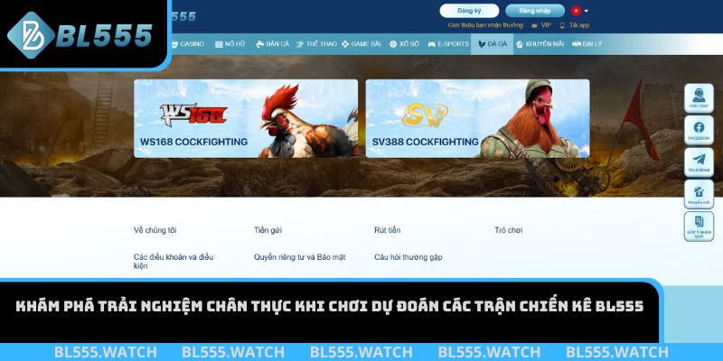 Khám phá trải nghiệm chân thực khi chơi dự đoán các trận chiến kê BL555