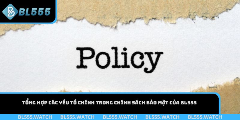 Tổng hợp các yếu tố chính trong chính sách bảo mật của BL555